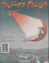 Cover of Sleepy moon