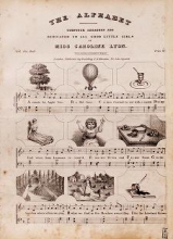 Cover of The alphabet
