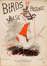 Cover of Birds of passage